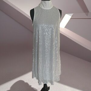 Elegant Silver Sequin Dress